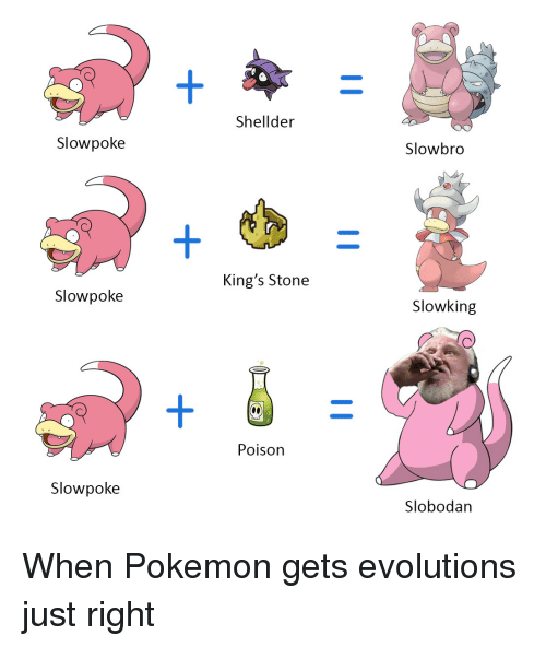 shellder-slowpoke-slowbro-kings-stone-slowpoke-slowking-poison-slowpoke-slobodan-29470892.png