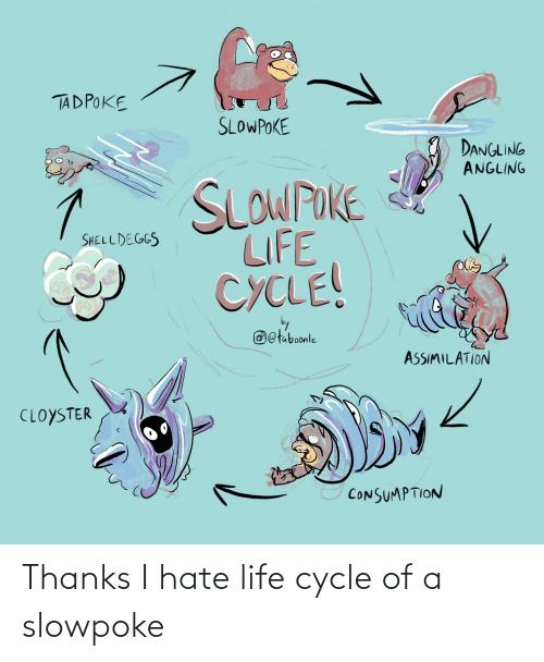 thanks-i-hate-life-cycle-of-a-slowpoke-71765462.png