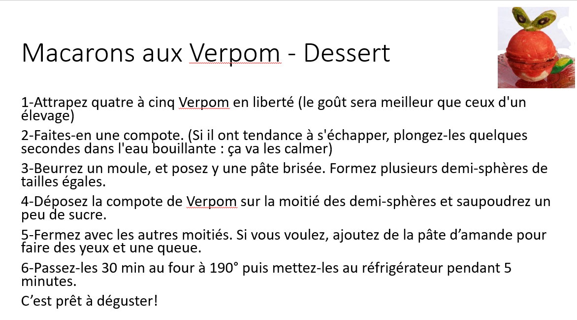 Macarons aux Verpom.PNG
