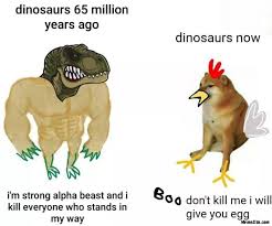 images (1).jpeg