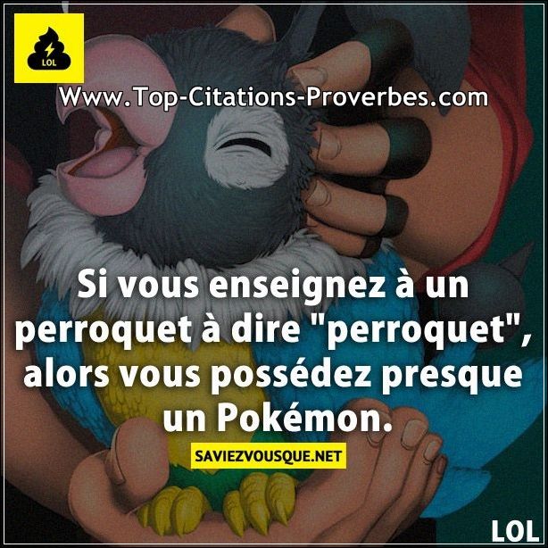 Citation_courte__Si_vous_enseignez_a_un_perroquet_a_dire_perroquet_alors_vous_possedez_presque_u_02621.jpg